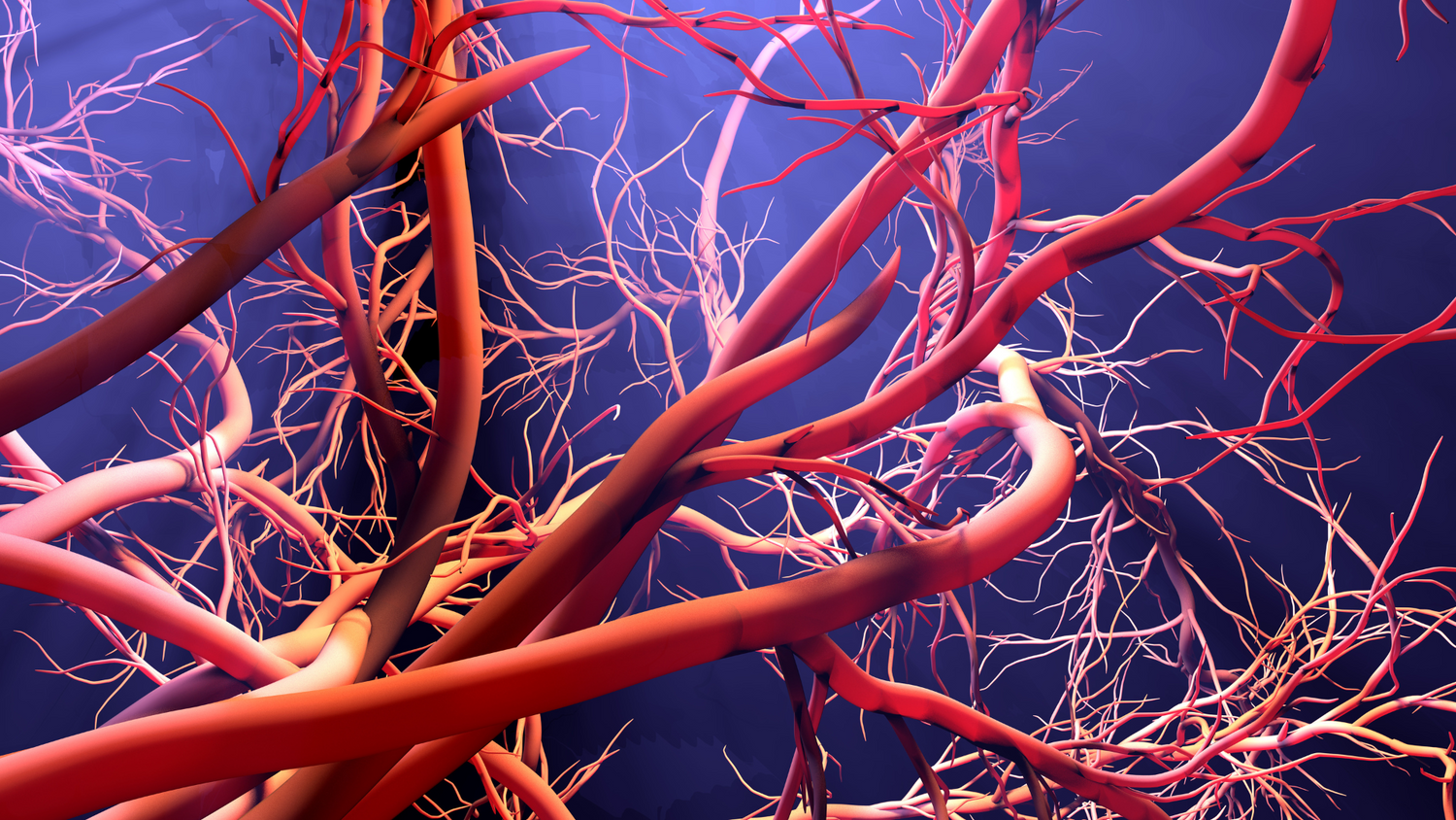 Enhancing Blood Oxygen Levels Through Exercise: A Vital Path to Well-Being