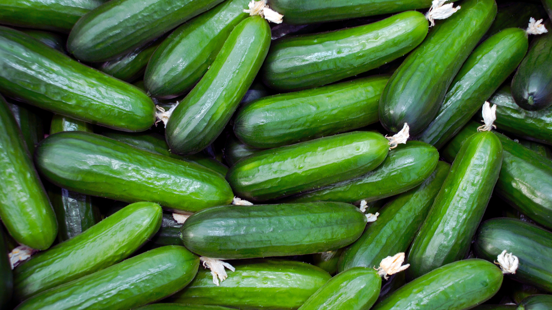 Cucumber: The Cool, Crisp Hero of the Garden (and the Kitchen!)