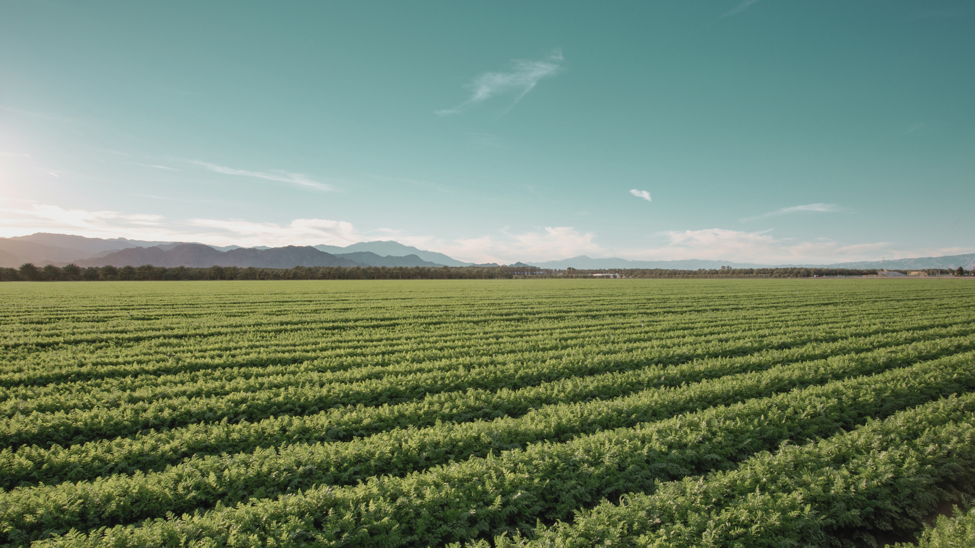 Why You Should Care About What’s in Your Food and How It’s Grown: A Comprehensive Guide