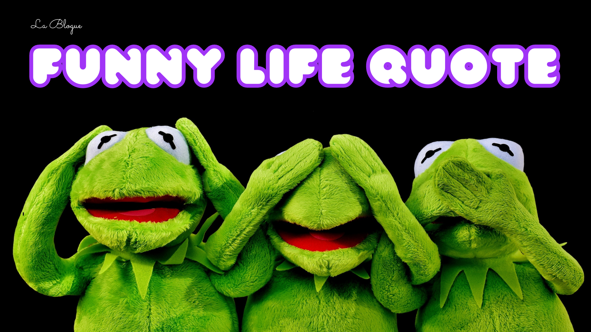 Funny Life Quote