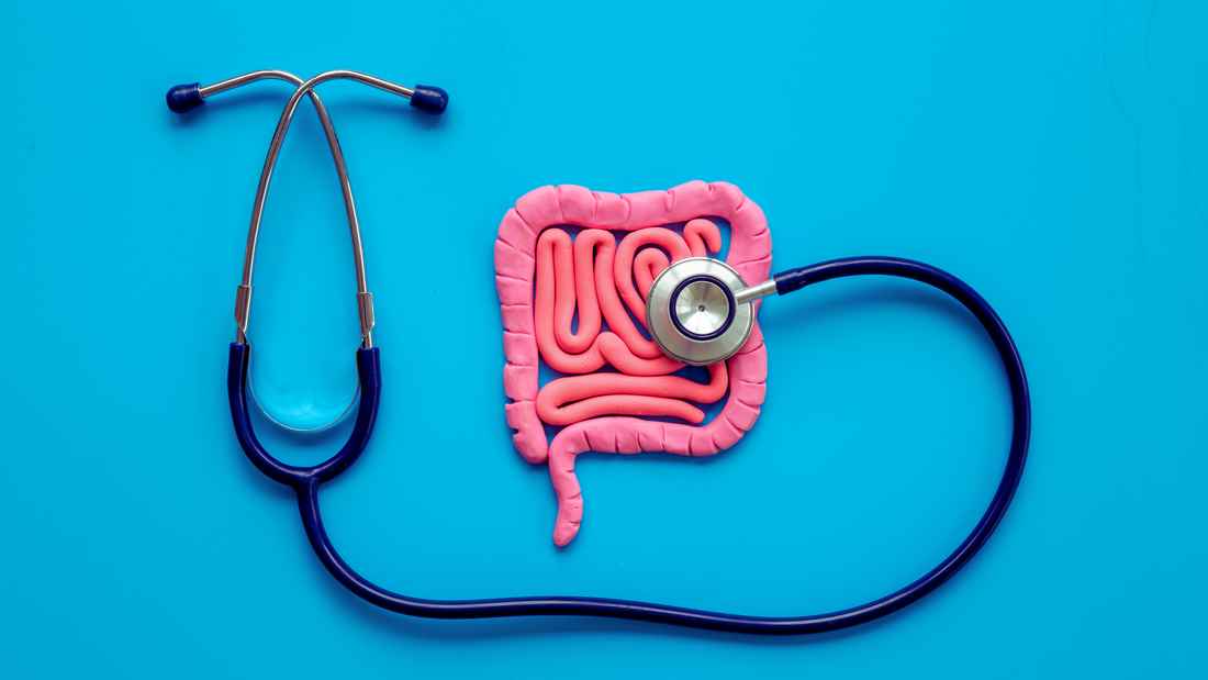 Step-by-Step Guide to Completely Healing Your Gut