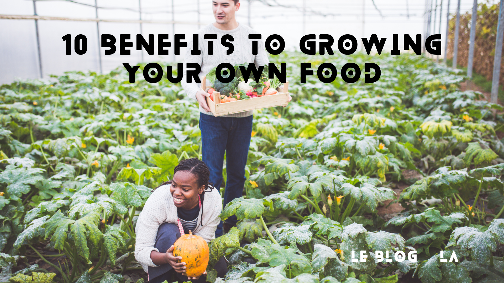 10 Benefits To Growing Your Own Food