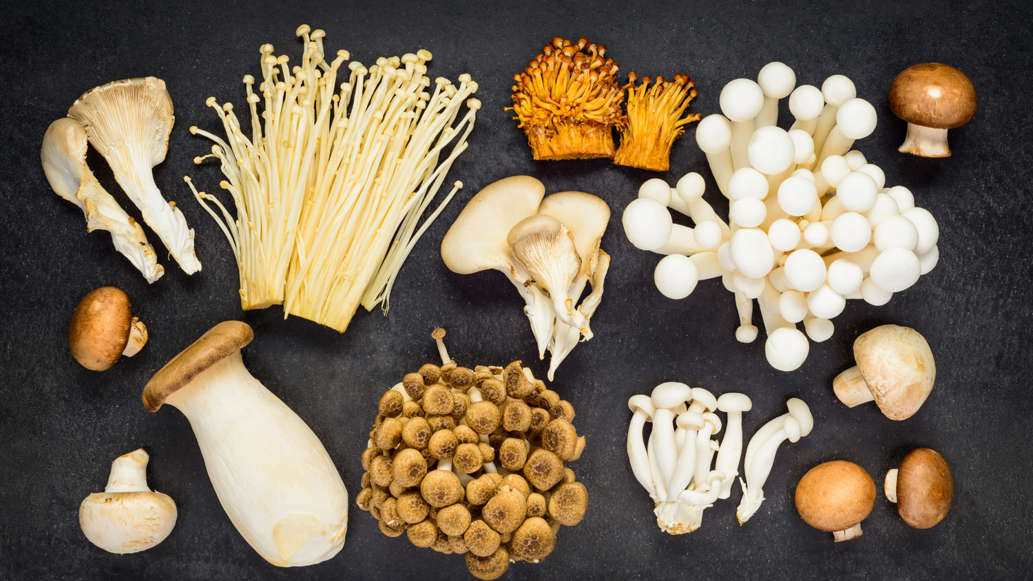 Unlocking the Power of Mushrooms: A Comprehensive Guide