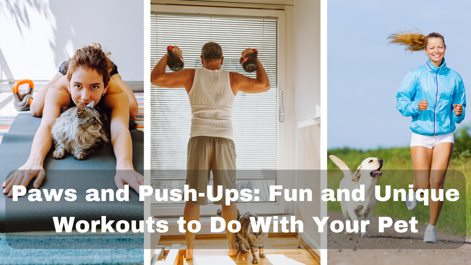 Paws and Push-Ups: Fun and Unique Workouts to Do With Your Pet