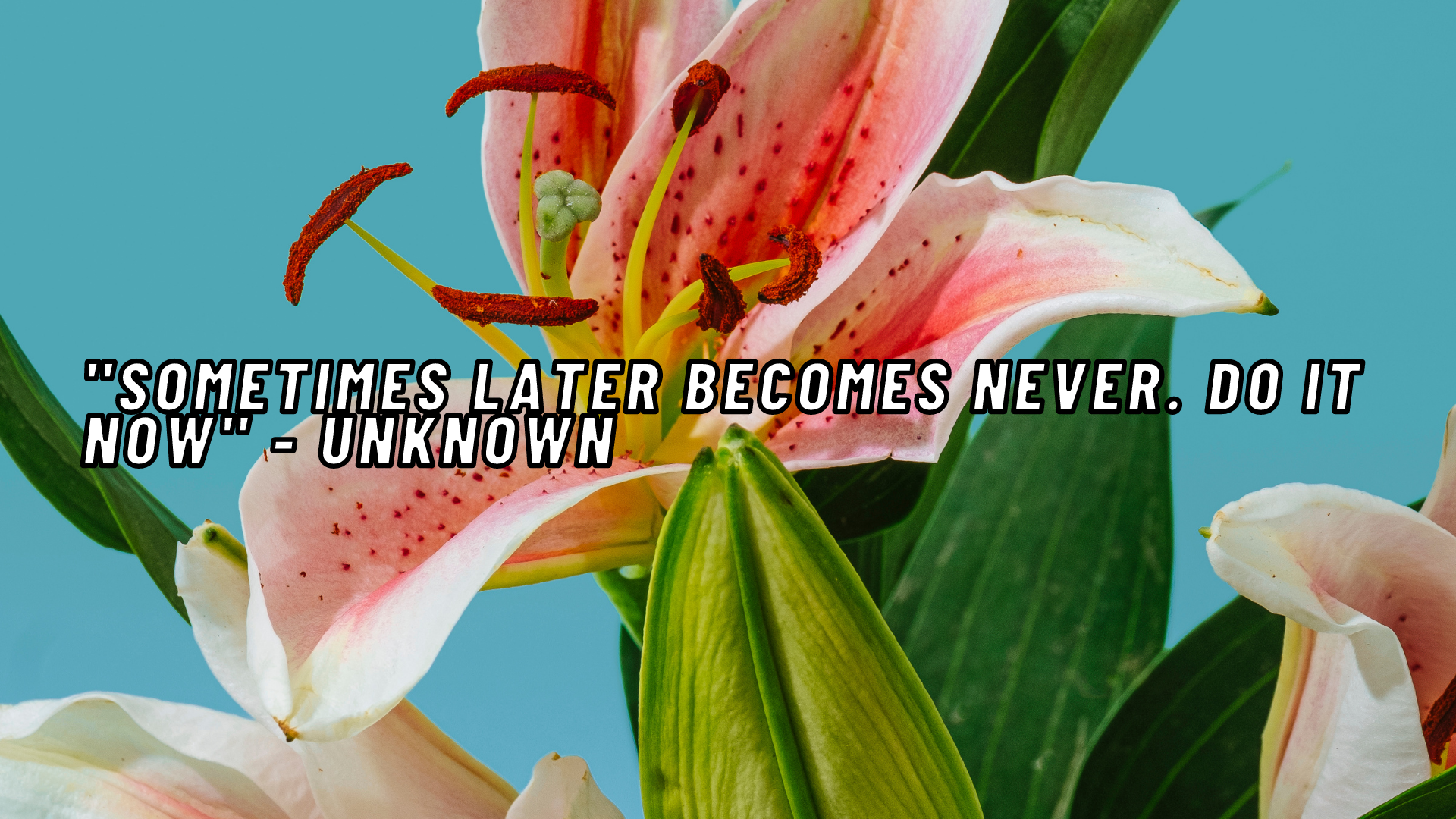QOTD