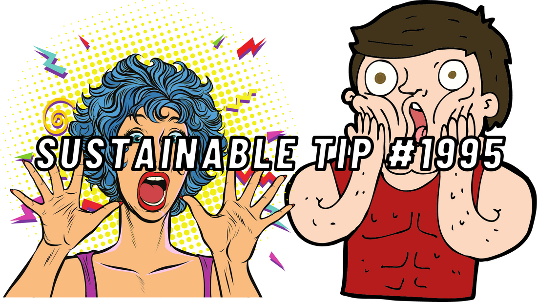 Sustainable Tip #1995
