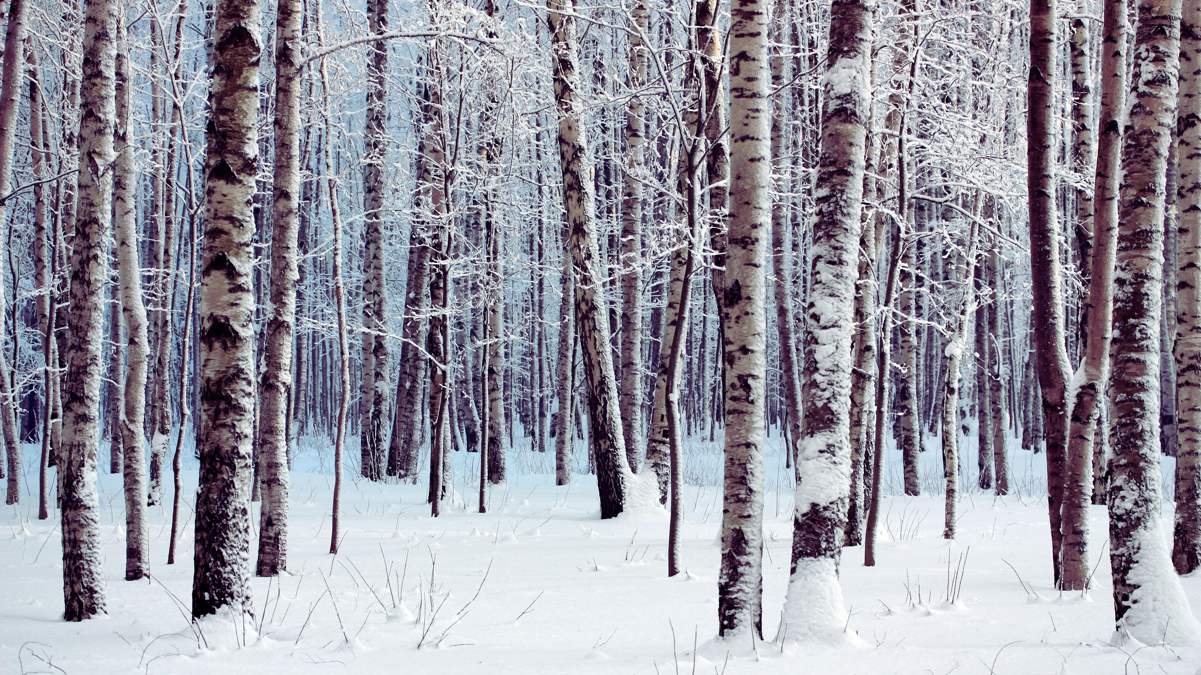 The Ultimate Guide to Top-Rated Outdoor Activities in Atlantic Canada