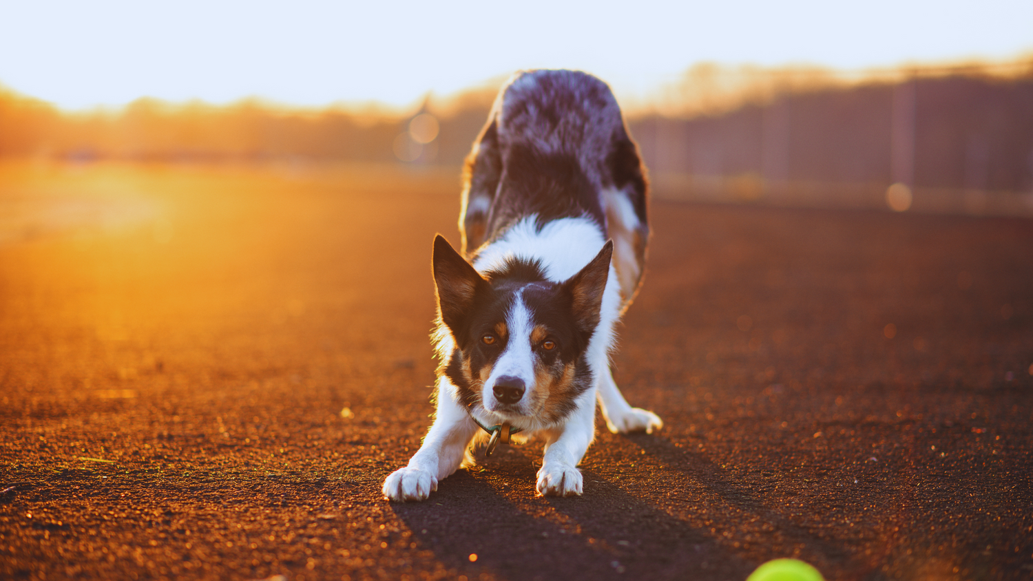 Exercise Recovery: A Comprehensive Guide