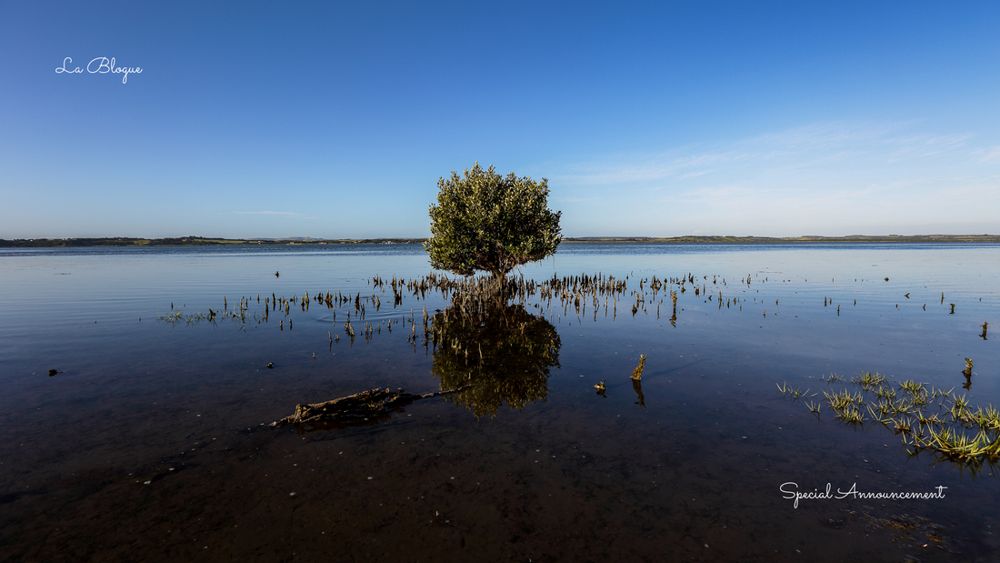 Special Announcement > New Partnership