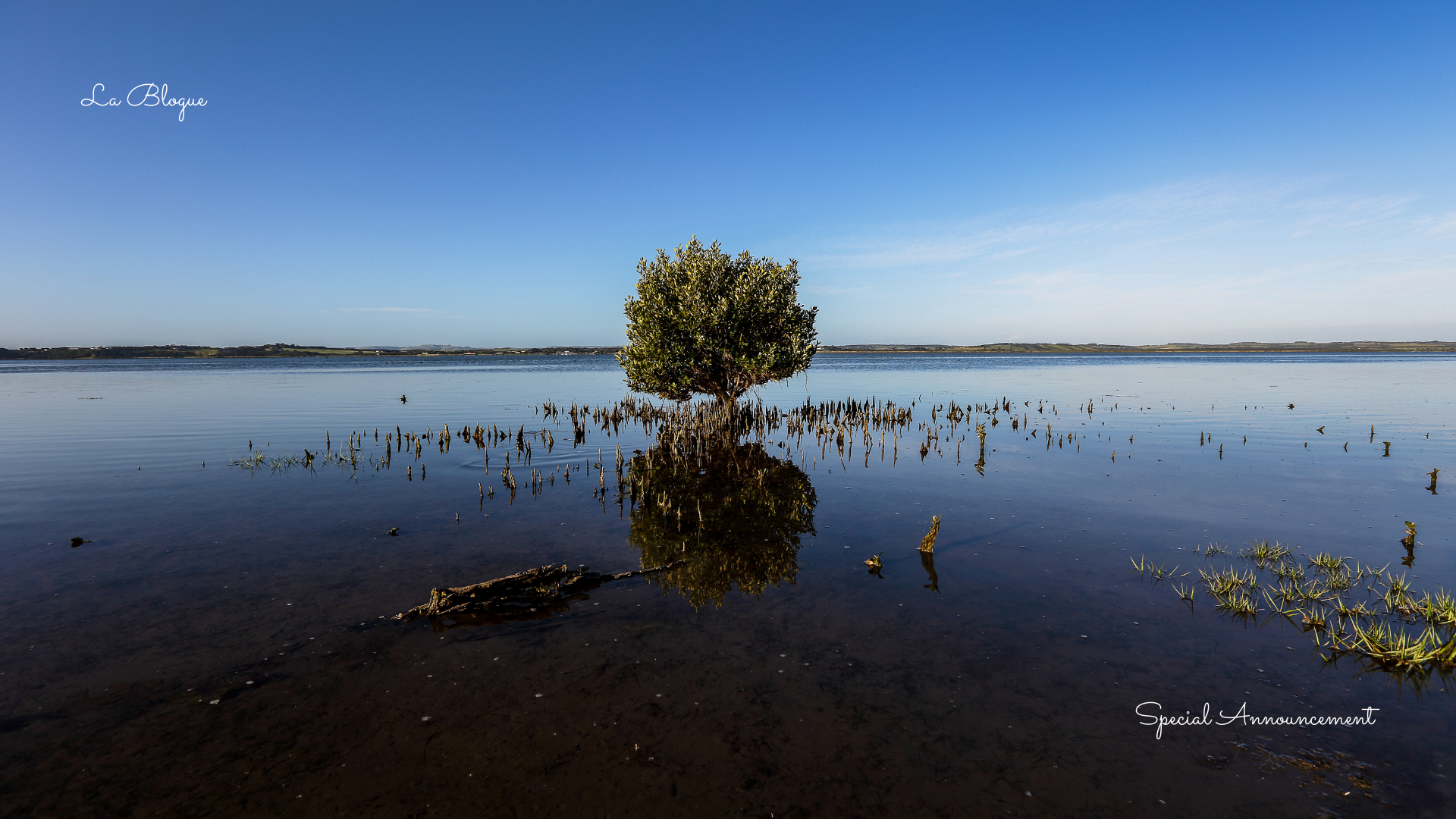 Special Announcement > New Partnership