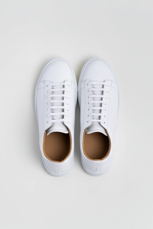N | white calfskin città sneaker