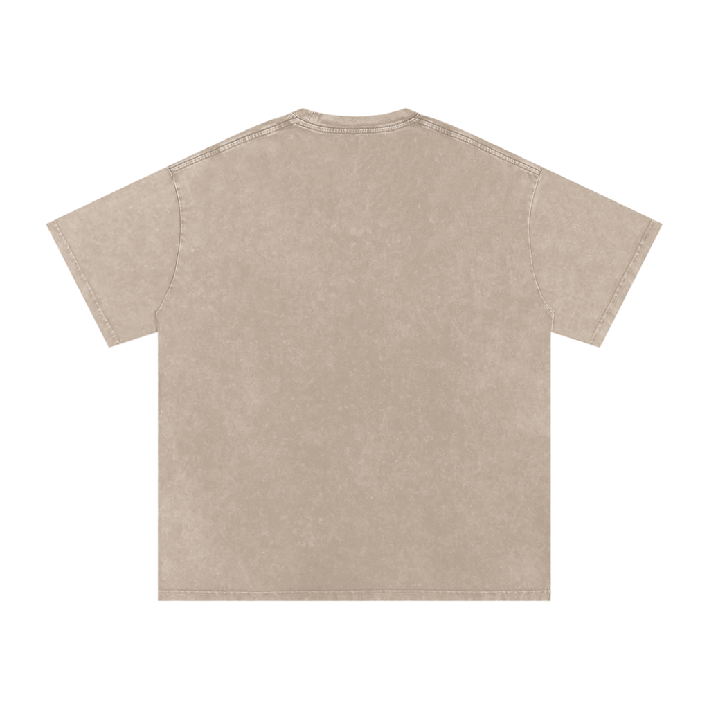 all,arcaprl,one,size,upper,body,tee,tshirt,ro0037,snow,washed,oversized,cotton
