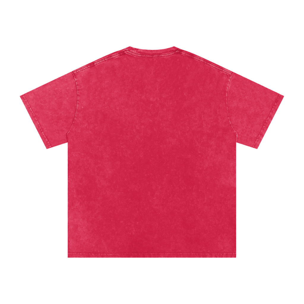 all,arcaprl,one,size,upper,body,tee,tshirt,ro0037,snow,washed,oversized,cotton