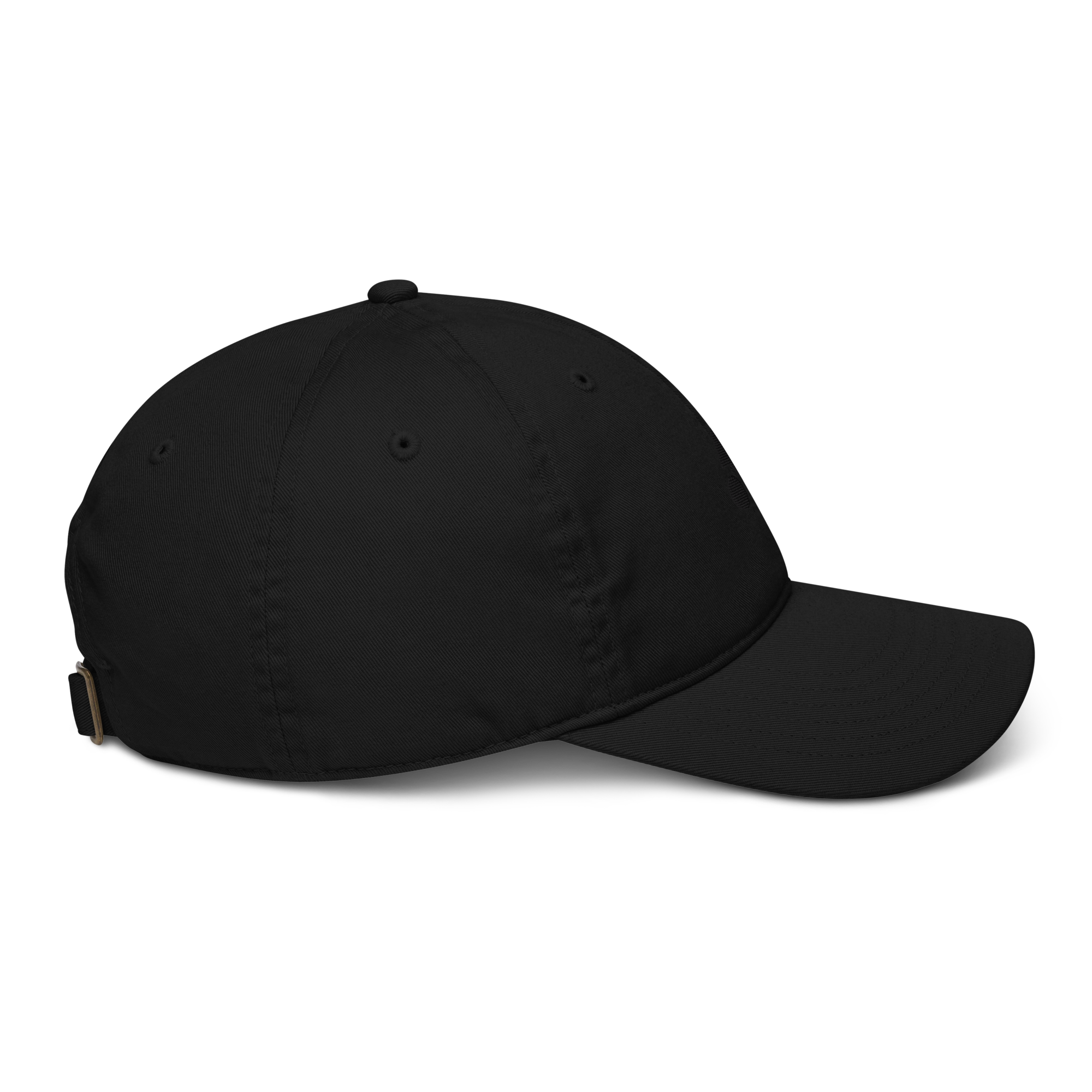 Black on Black Organic Dad Hat - Arcadia Apparel